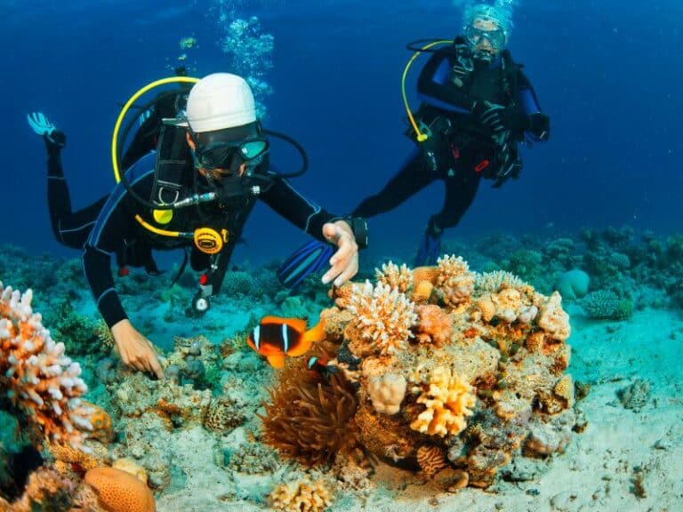 Plongée sous marine séjour madagascar